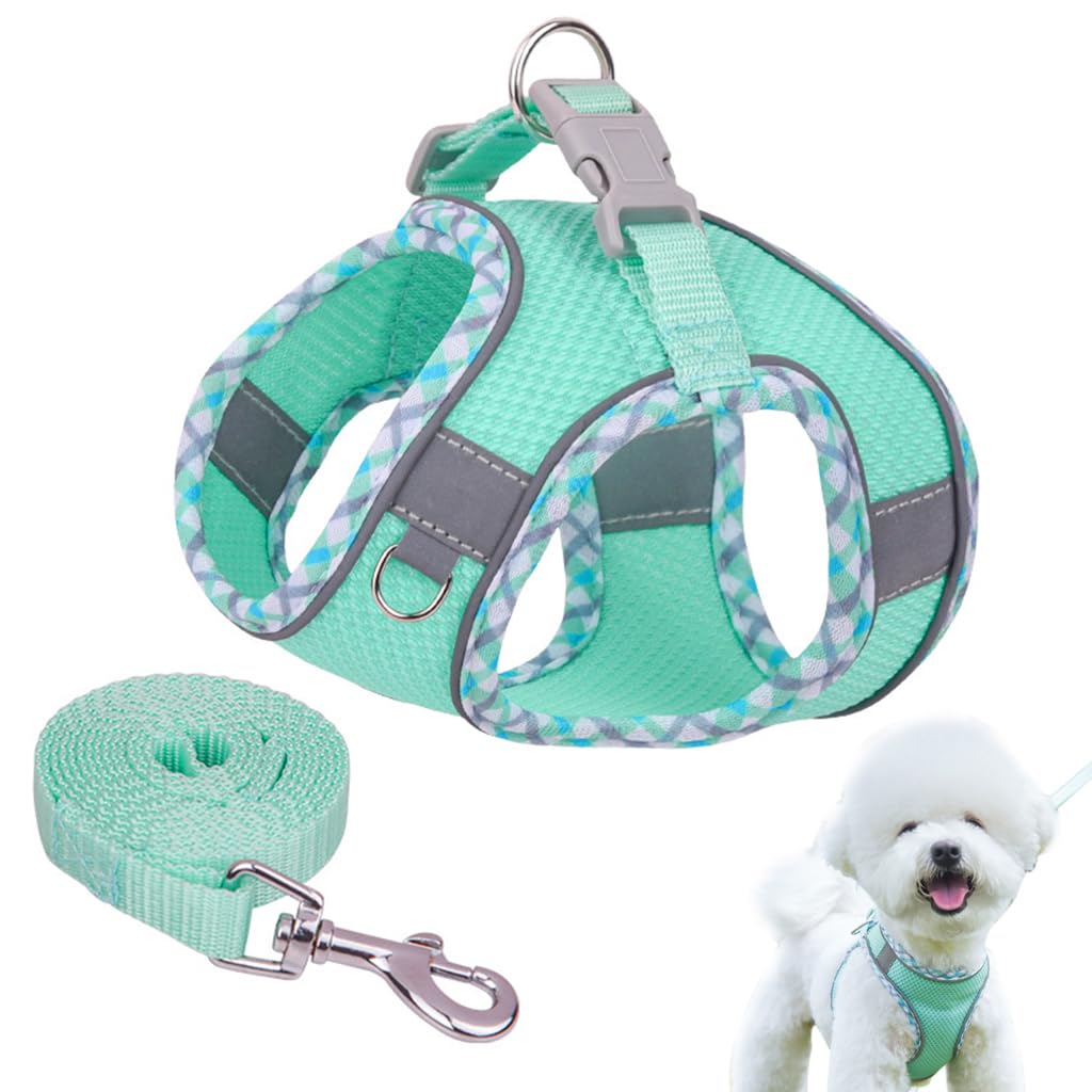 Qpets Small Dog Harness, 4.9Ft Dog Leash Breathable Mesh Pet Harness Small Dog Vest Harness with Safe Reflective Strips No Pull Small Dog Harness (Neck: 36-42CM) Qpets Small Dog Harness, 4.9Ft Dog Leash Breathable Mesh Pet Harness Small Dog Vest Harness with Safe Reflective Strips No Pull Small Dog Harness (Neck: 36-42CM)